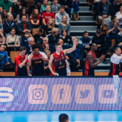 DENMARK-LIONS-56